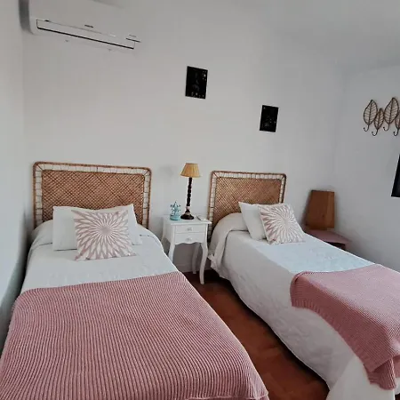 Patios. Apartment Plasencia