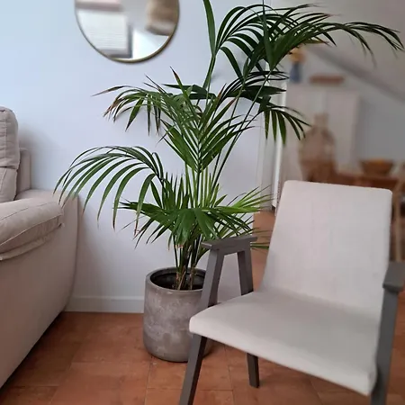 Patios. Appartement Plasencia